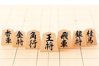 将棋年鑑セット 昭和61年版〜平成3年版　美品 将棋年鑑セット 昭和61年版〜平成3年版 美品 将棋年鑑セット