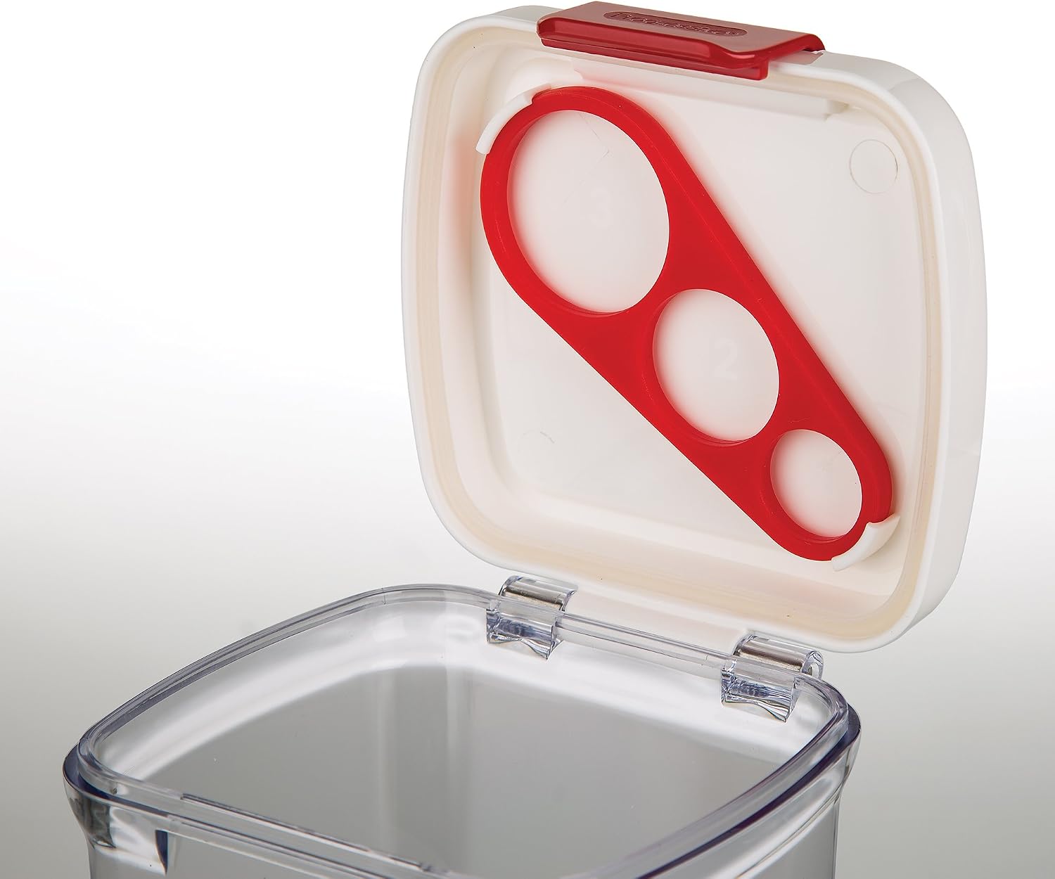 Prep Solutions by Progressive Pasta Keeper, 2.4-Quart, Keeps Pasts Fresh, Fettuccini, Lasagna, Clear