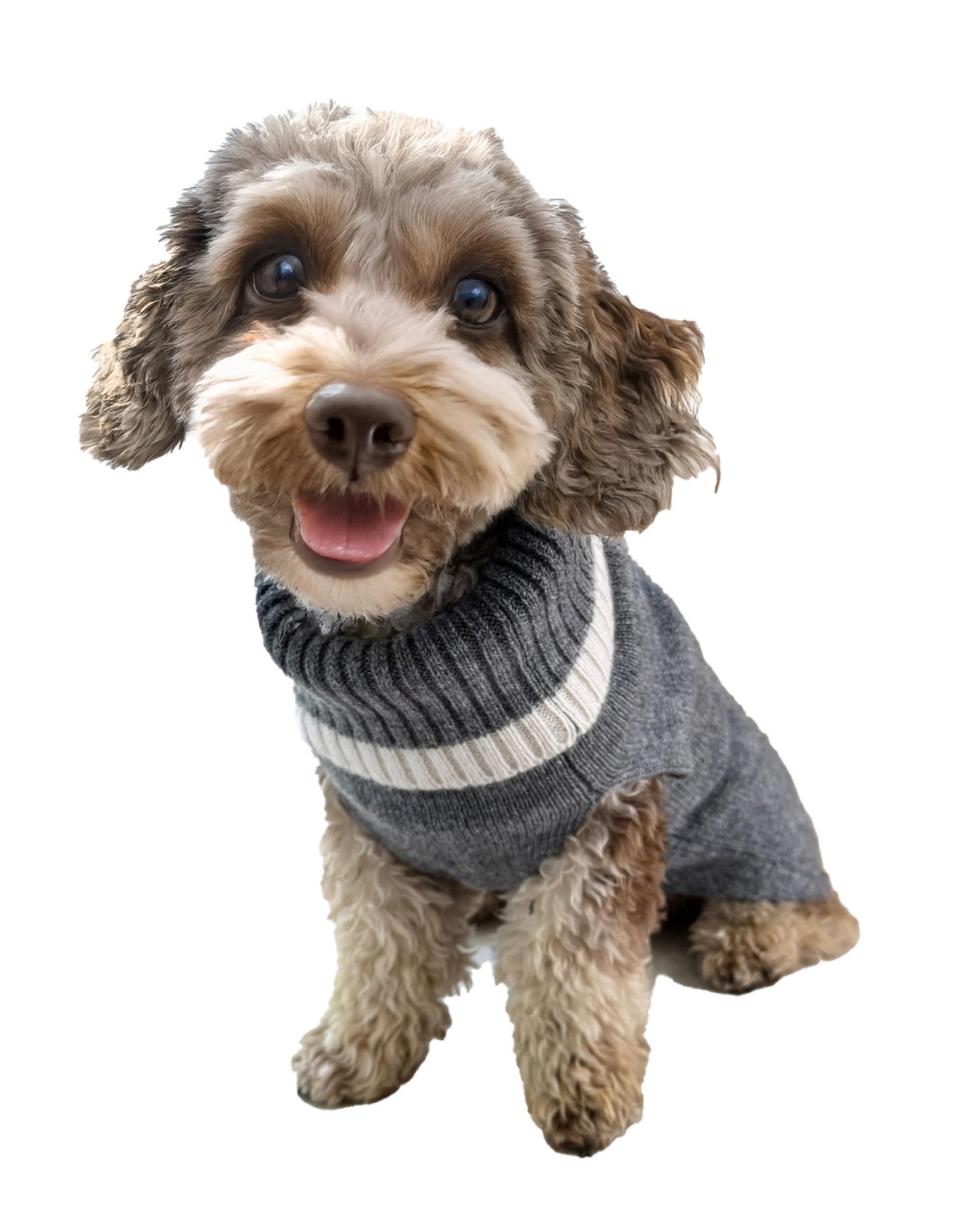 EMAAL 100% Kaschmir Hundesweater Colorado, Grau, Weiss, Gestrickt, für kleine Hunde bis 35 cm Rückenlänge, warm, bequem, für jedes Fell, für kühle Spaziergänge oder gemütliche Abende zu Hause