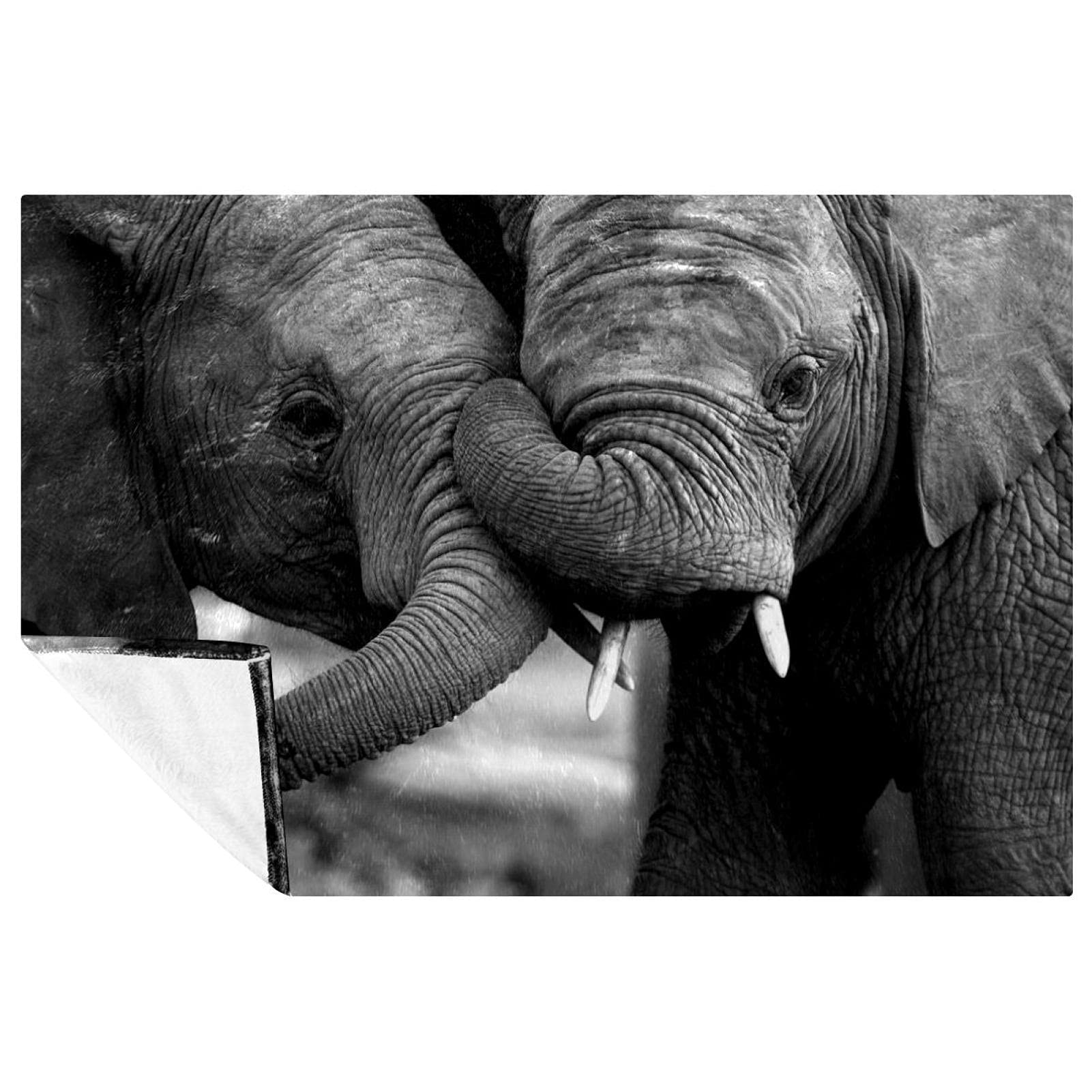 Couverture éléphant gris 150x100 cm douce et chaude pour lit et canapé