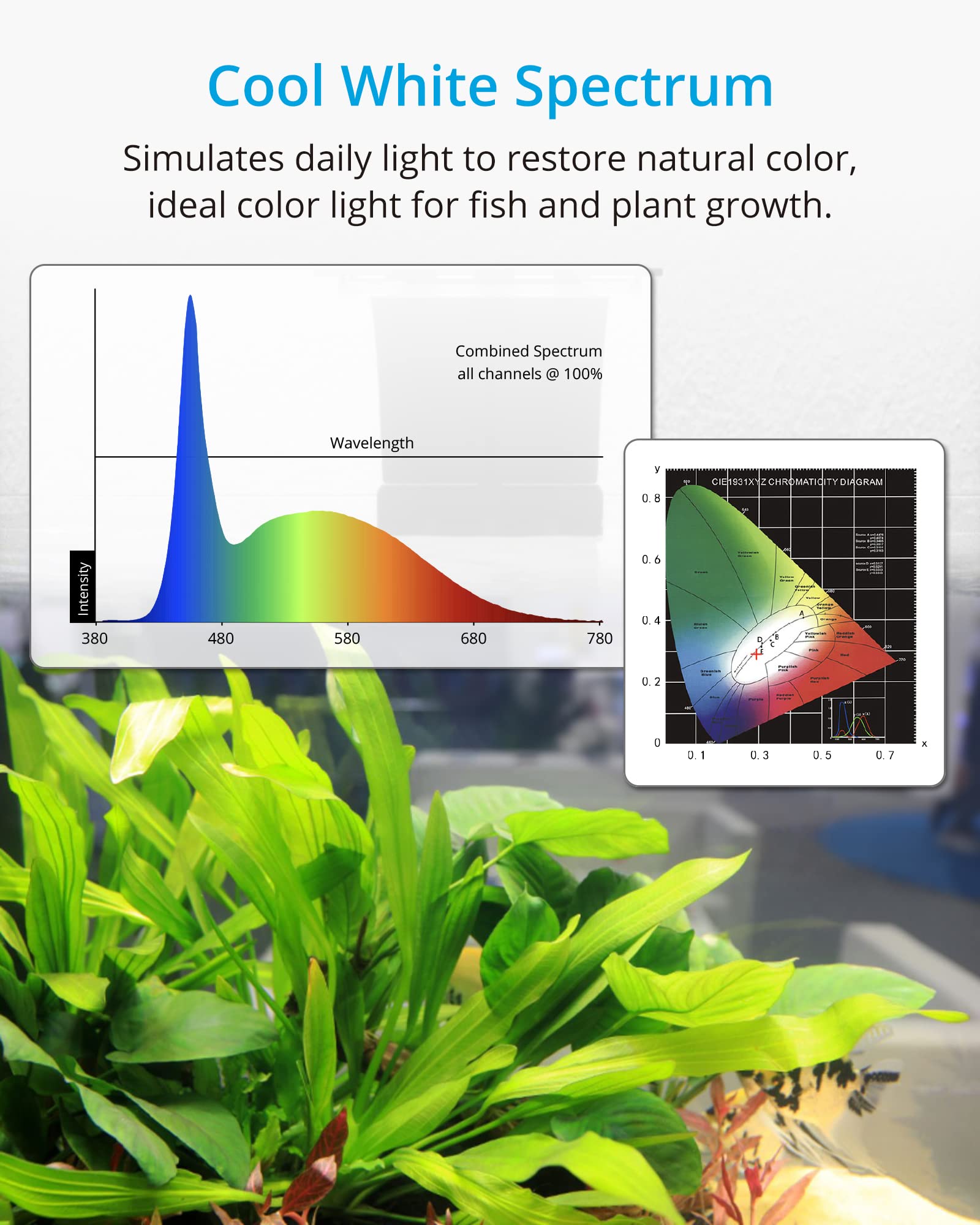 NICREW Led Acquario 40 LED Sottile 8 W Bianco Luce Blu e Bianca