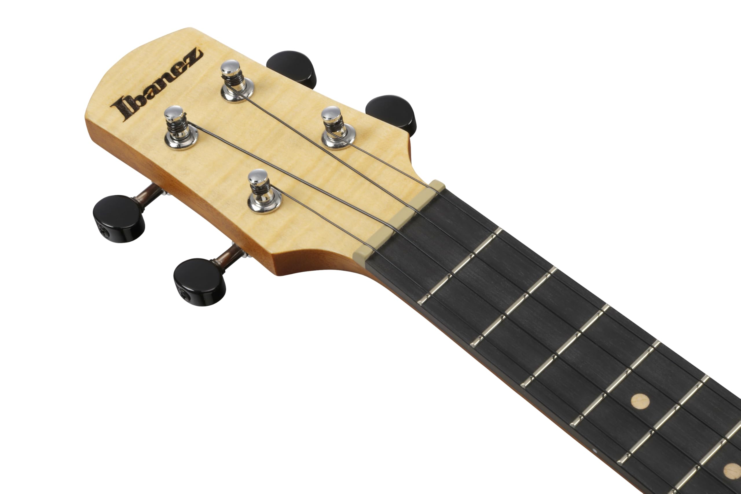 Amazon.co.jp: Ibanez/アイバニーズ コンサート・スタイル