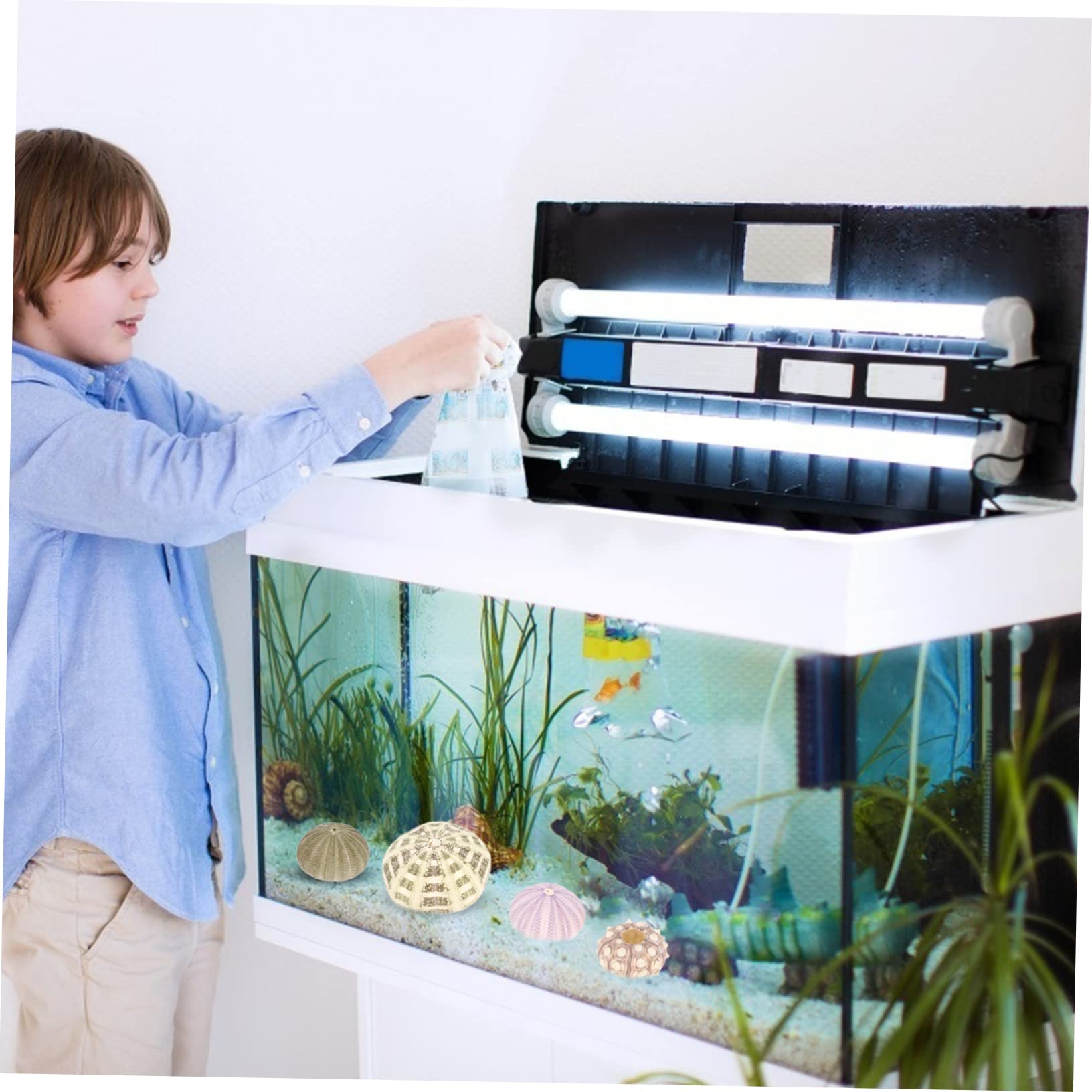 PRETYZOOM 5 Set Conchiglia di Conchiglia Piante Aeree Mescolare Le Conchiglie di Ricci di Mare Decorazioni Ufficio Aquarium Pianta Adornare Decori di Ricci di Mare per La Casa 6 Pezzi * 5