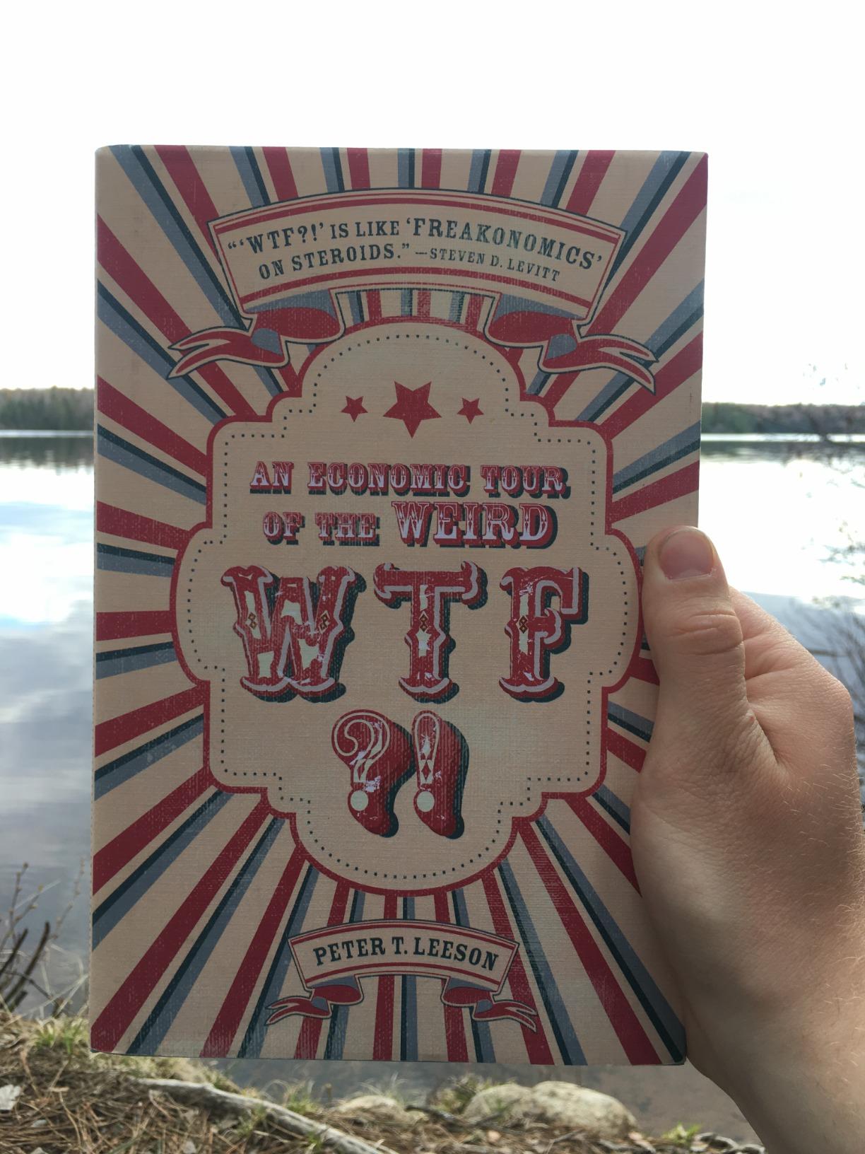 interesting, but odd & far fetched