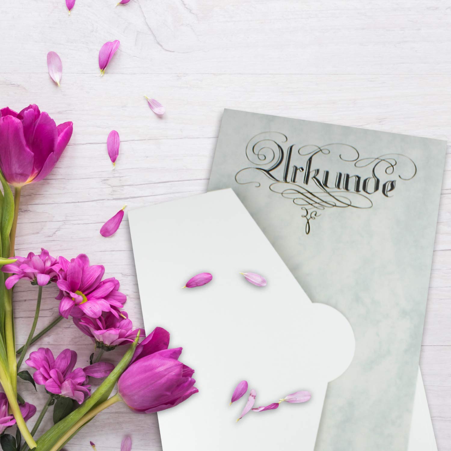 40 carpetas de papel estables para DIN A4 y DIN C4 en gris claro – 22 x 30,5 cm – 240 g/m² – adecuado como carpeta de presentación, carpeta de solicitudes y proyectos