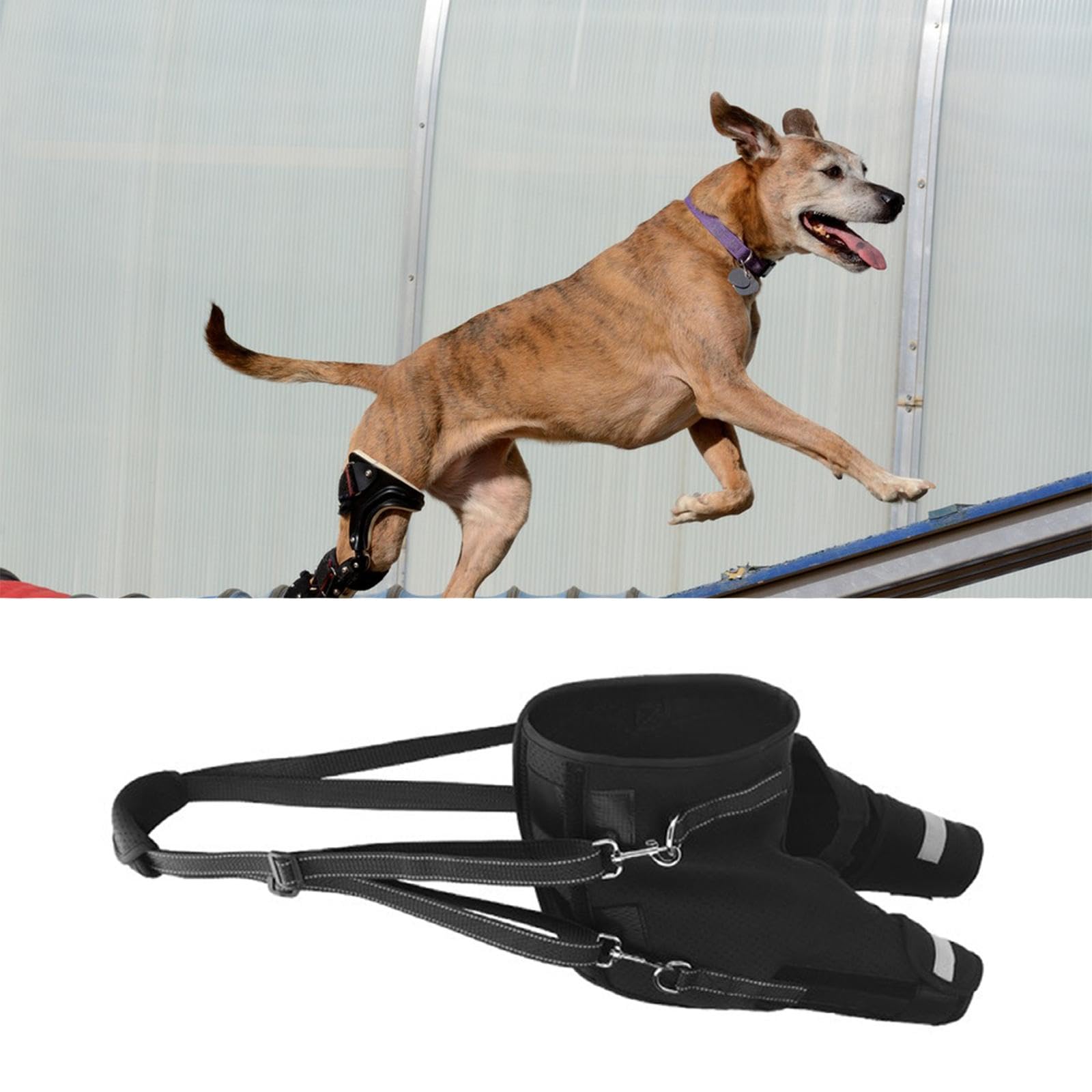 Generic Arnés de Asistencia para Las Patas Traseras de Perros con Patas Traseras Débiles, con Tira Reflectante, Arnés Elevador para Perros, Xl
