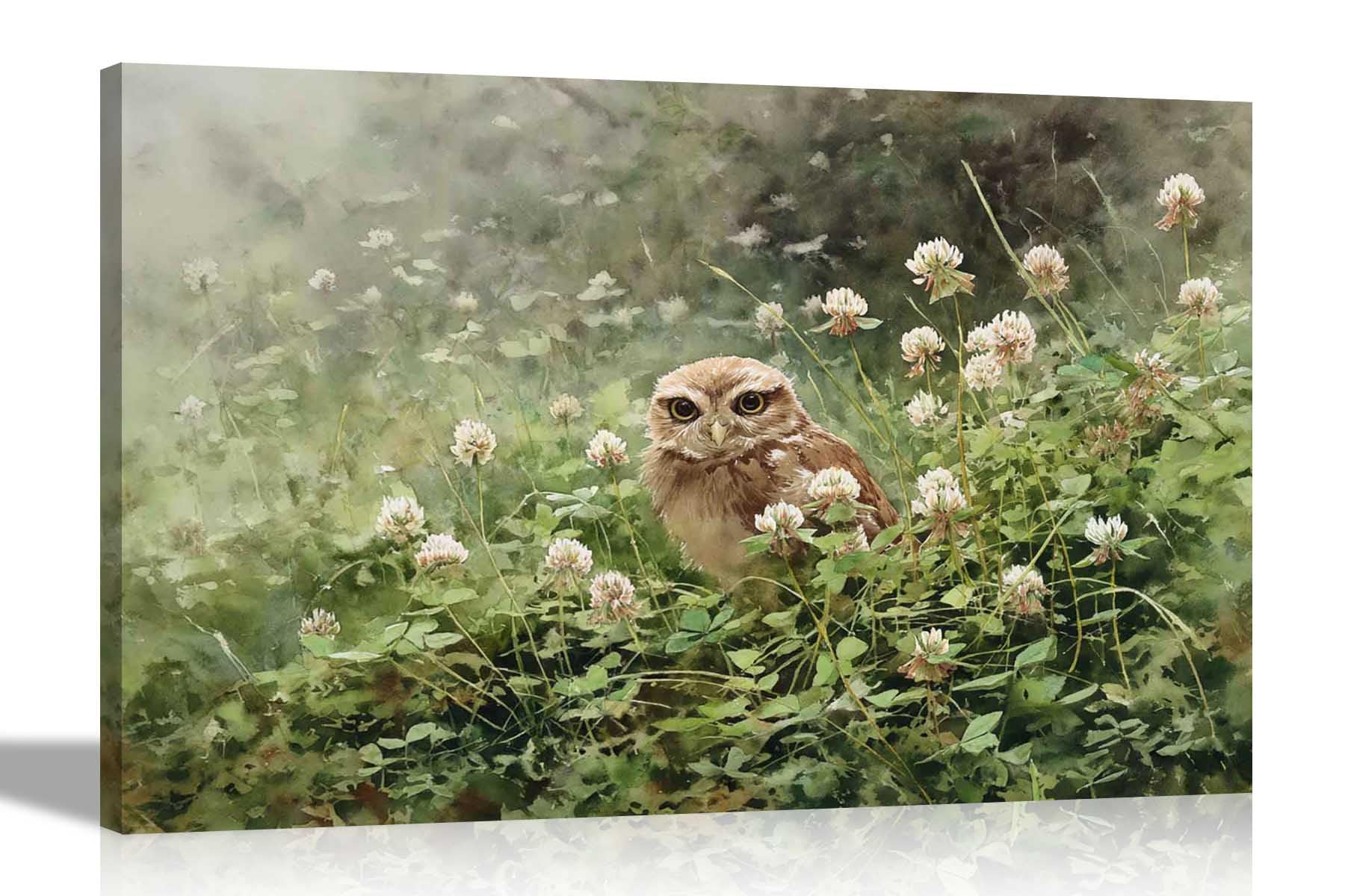 Artley Prints - Watercolour Daisy field OwlFramed Canvas Pictures Flower Print for Living Room Décor Home Conservatory Decoration 76 x 50cm (30 x 20 inches)