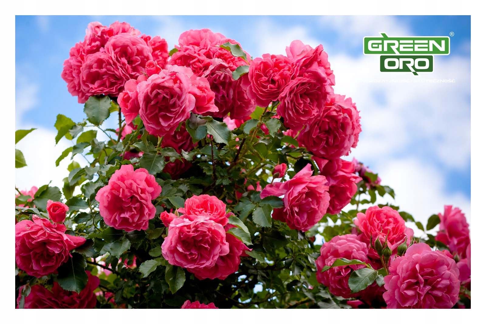 FLOWERS AKI 24kg Herbstdünger für Rosen, Blumen und Zierpflanzen geeignet