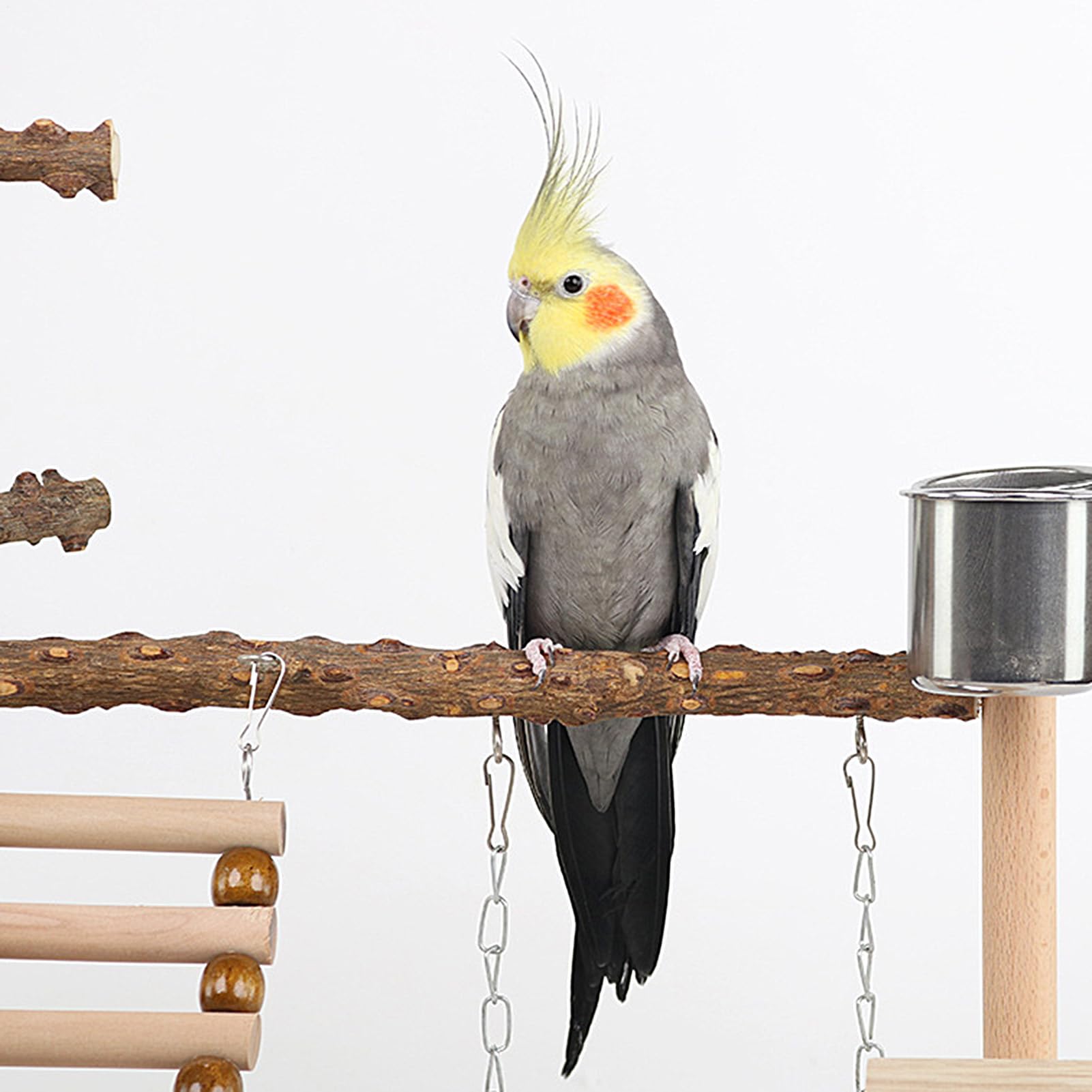 Area Giochi Per Pappagalli Gyms In Legno Per Uccelli | Altalena Parrocchetti Con , Vassoio In Acciaio Inossidabile Per Cacatua Conuro Fringillide Addestramento Esercizio