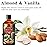 PHATOIL 3.38FL.OZ Sandalwood Sanctuary Fragrance Oils for Aromatherapy, Essential Oils for Diffusers for Home, Perfect for Diffuser, Yoga, Skin Care, DIY Candle and Soap Making - 100ml