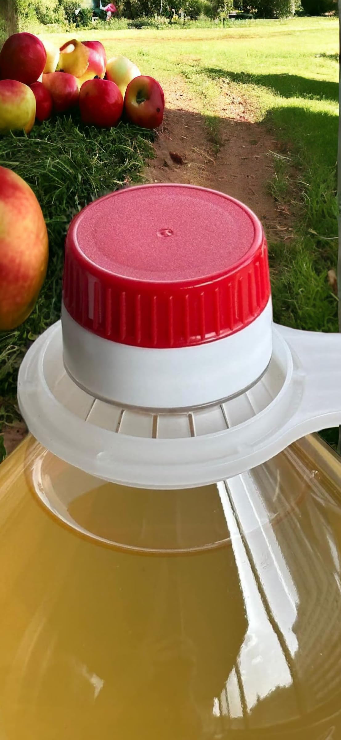 ACETUM DE MODENA - Vinagre Sidra de Manzana Madre - Ecológico - Sin preservantes ni conservantes - Orgánico, sin filtrar y sin pasteurizar - 2L (2 botellas 1L) - Lo mejor para tu salud - 100% zumo