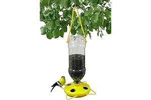 Gadjit Soda Bottle Thistle Bird Feeder - Attract Songbirds to Your Yard,...