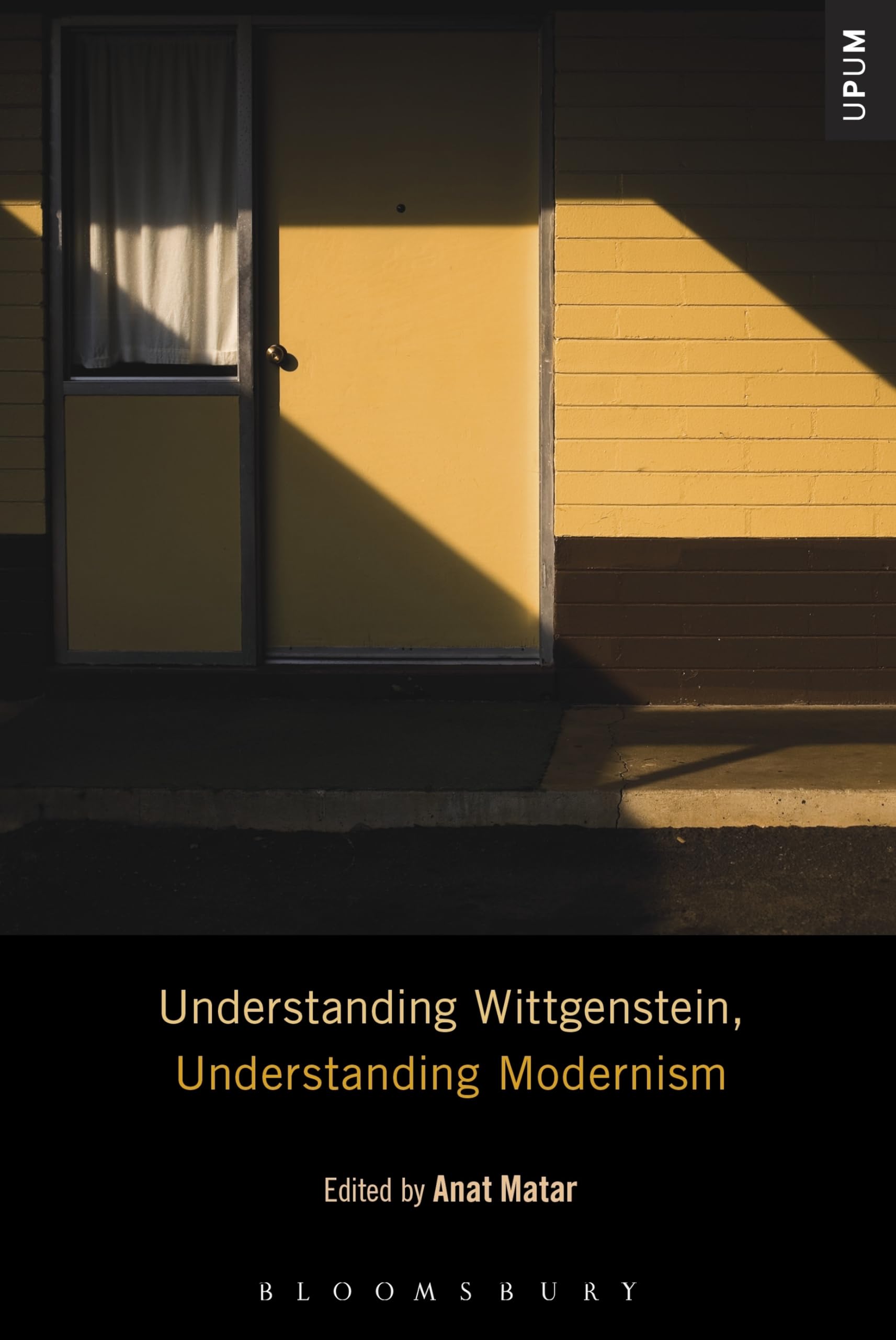 Understanding Wittgenstein, Understanding Modernism (Understanding Philosophy, Understanding Modernism)