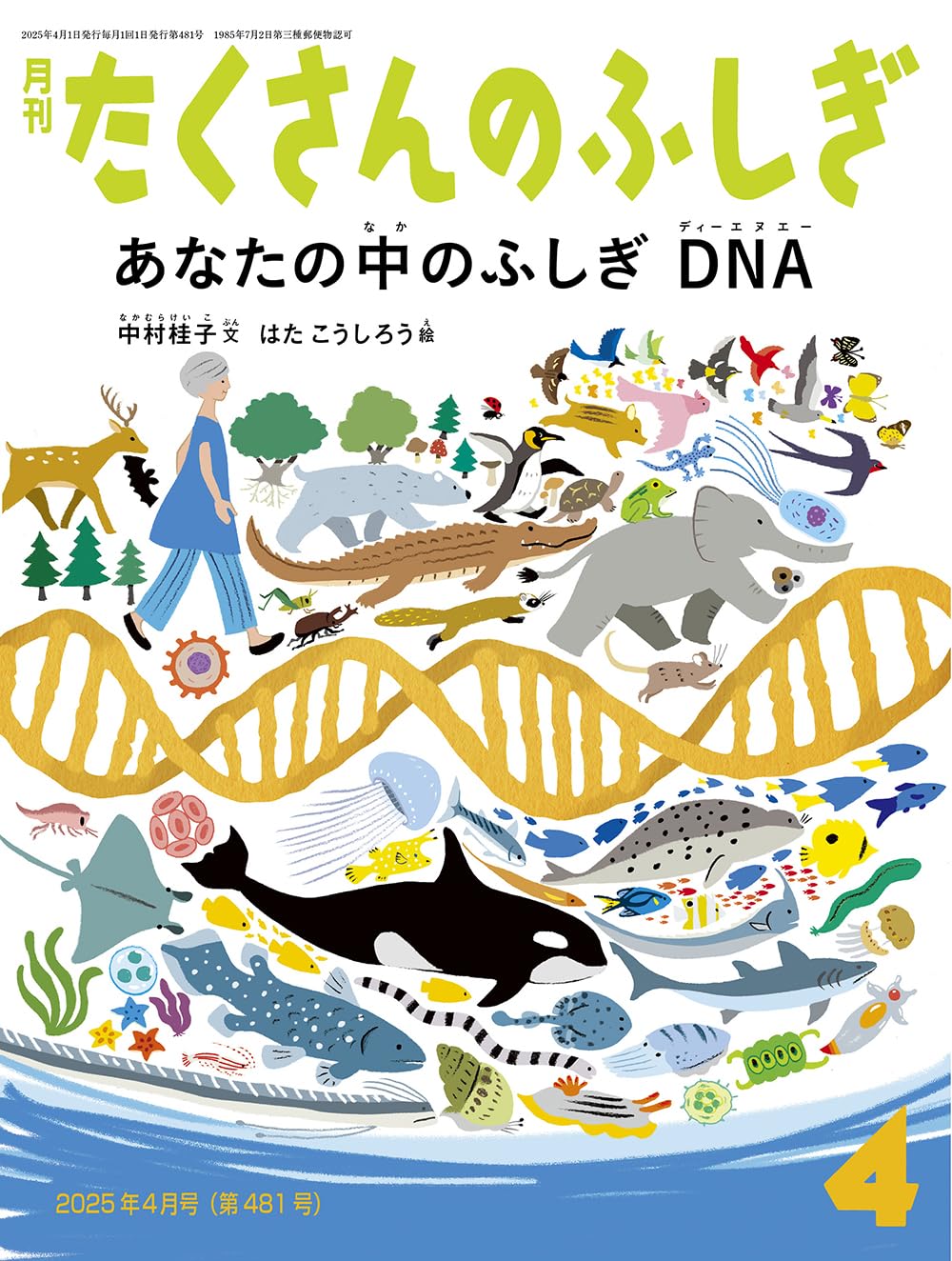 福音館書店　たくさんのふしぎ2025年4月〜2026年3月号 71qF3C9JGJL.jpg