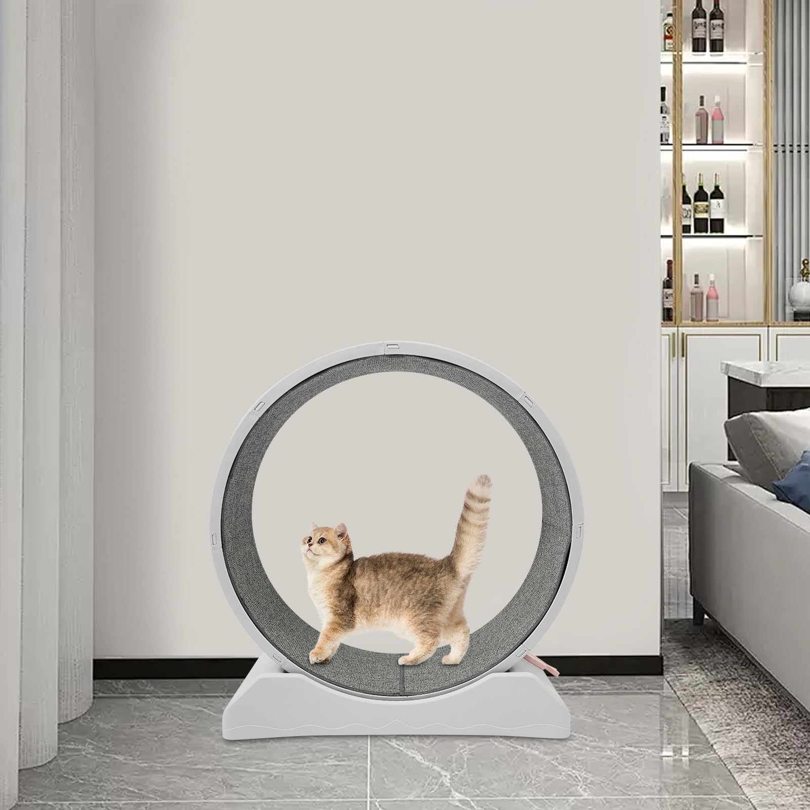 gato rueda de ejercicio carrera gato rueda alfombra gatos ruedas silenciosa ejecución interior marco escalada hámster tamaño gerbolitas rata chinchilla juguete bola jaula juguetes