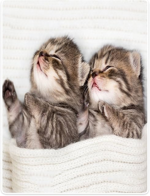 YISUMEI Blanket cuddly blankets soft flannel soft fleece blanket bed throw kitten cat sleep