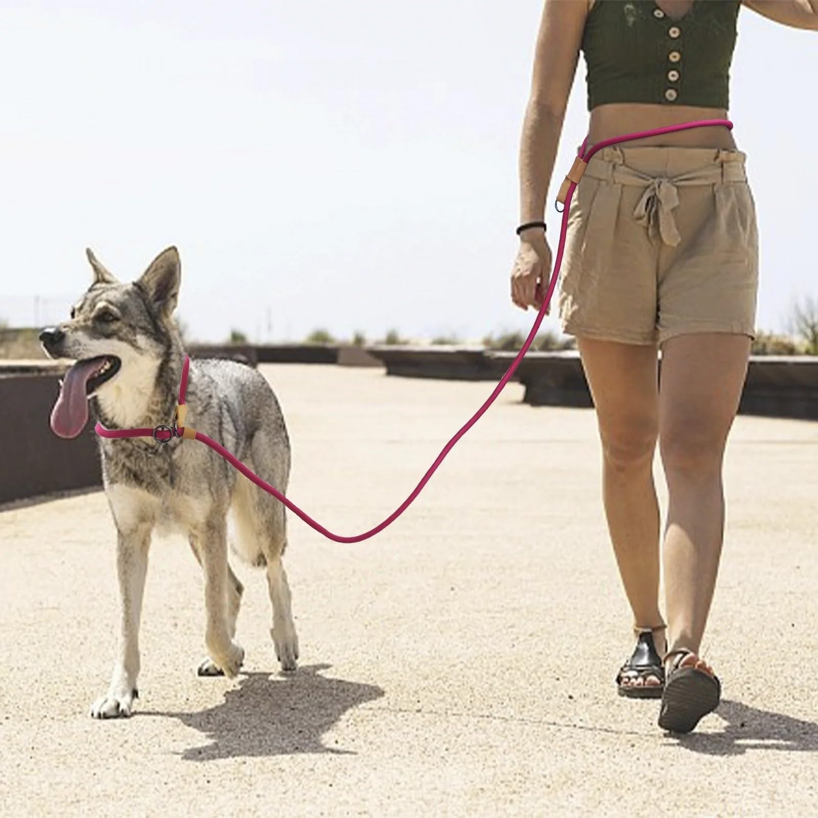 Laisse multifonctionnelle réglable en Forme de P for Chien, chaîne de Taille, Corde de Traction for la Course, la Marche, laisses Mains Libres pour Ceinture, Running(Brown,300CM)