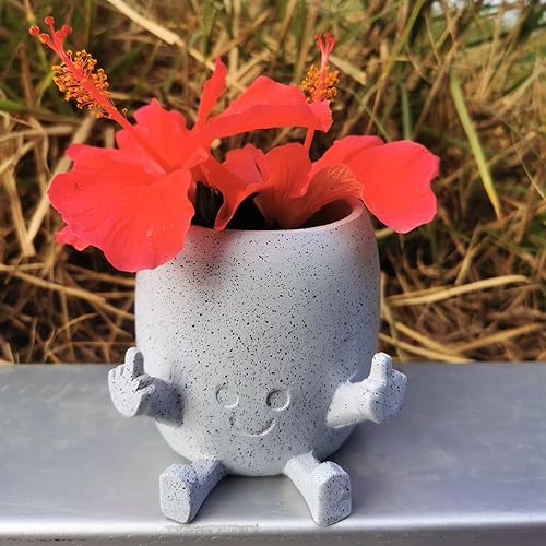 Miniatura 4 de Divertidas macetas para suculentas únicas con los dedos hacia arriba, bonitas macetas para plantas de interior, maceta de resina con cara sonriente,
