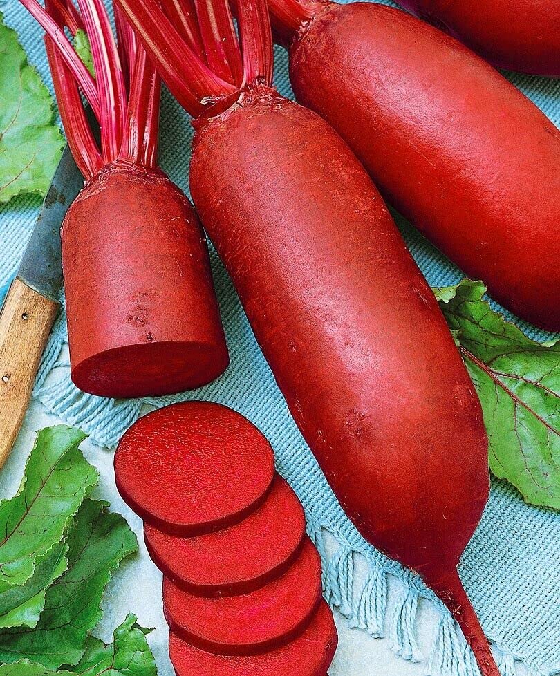 M-Tech Gardens Rare Hybrid Beet Root " Red Long " Exotic 20 Vegetable Seeds for Growing (B0BNTQ5BRT) Amazon Price History, Amazon Price Tracker