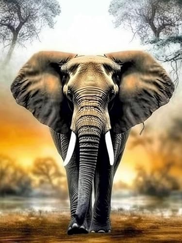Bimkole Kits de pintura de diamantes 5D de elefante, taladro completo, puesta de sol, animales, diamantes de imitación, juego de bordado de pintura