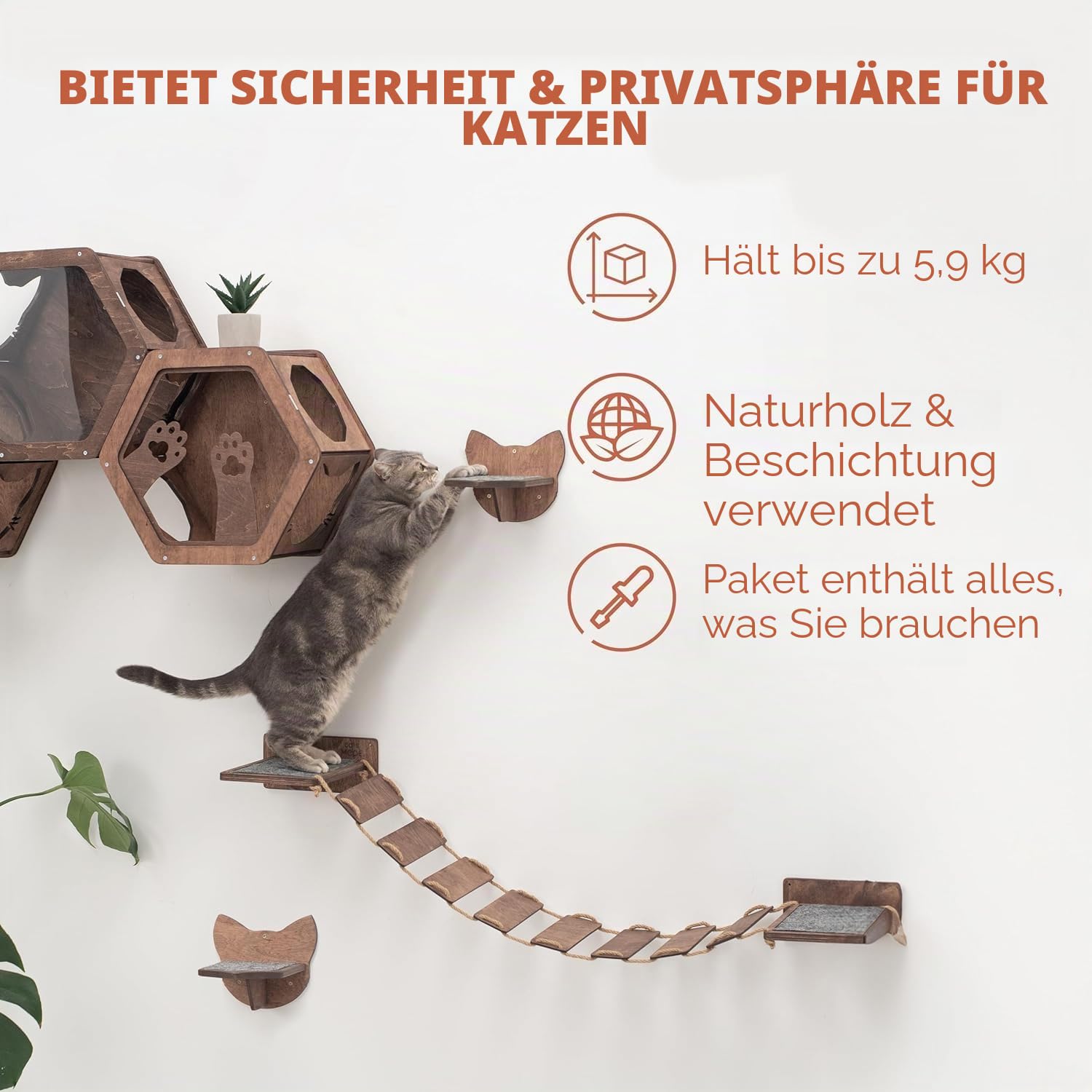 Rustikales Katzenregal aus Holz – Wandmontierte Katzenmöbel – Indoor-Katzen-Dekor-Geschenk