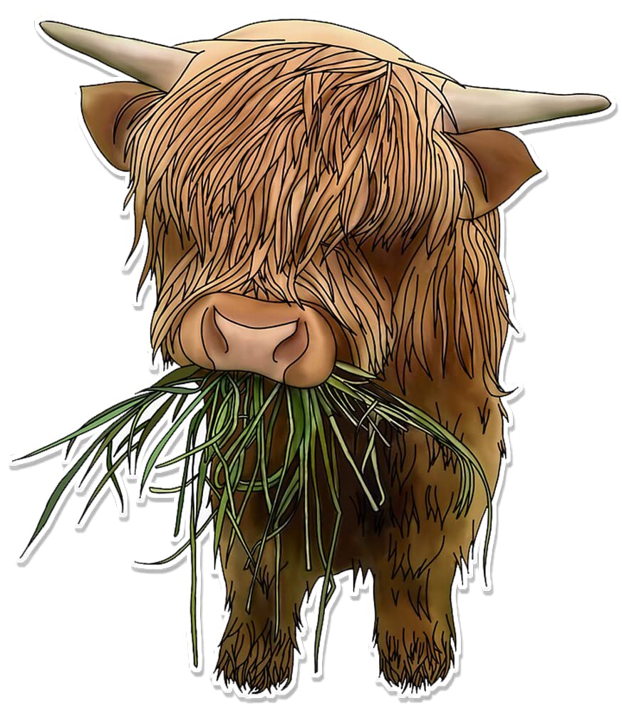 Hodge Creations Pack of 4 Highland Cow Vinyl Decal Sticker Car Wall Laptop Scrapbook Campervan Caravan Bumper Sticker Window