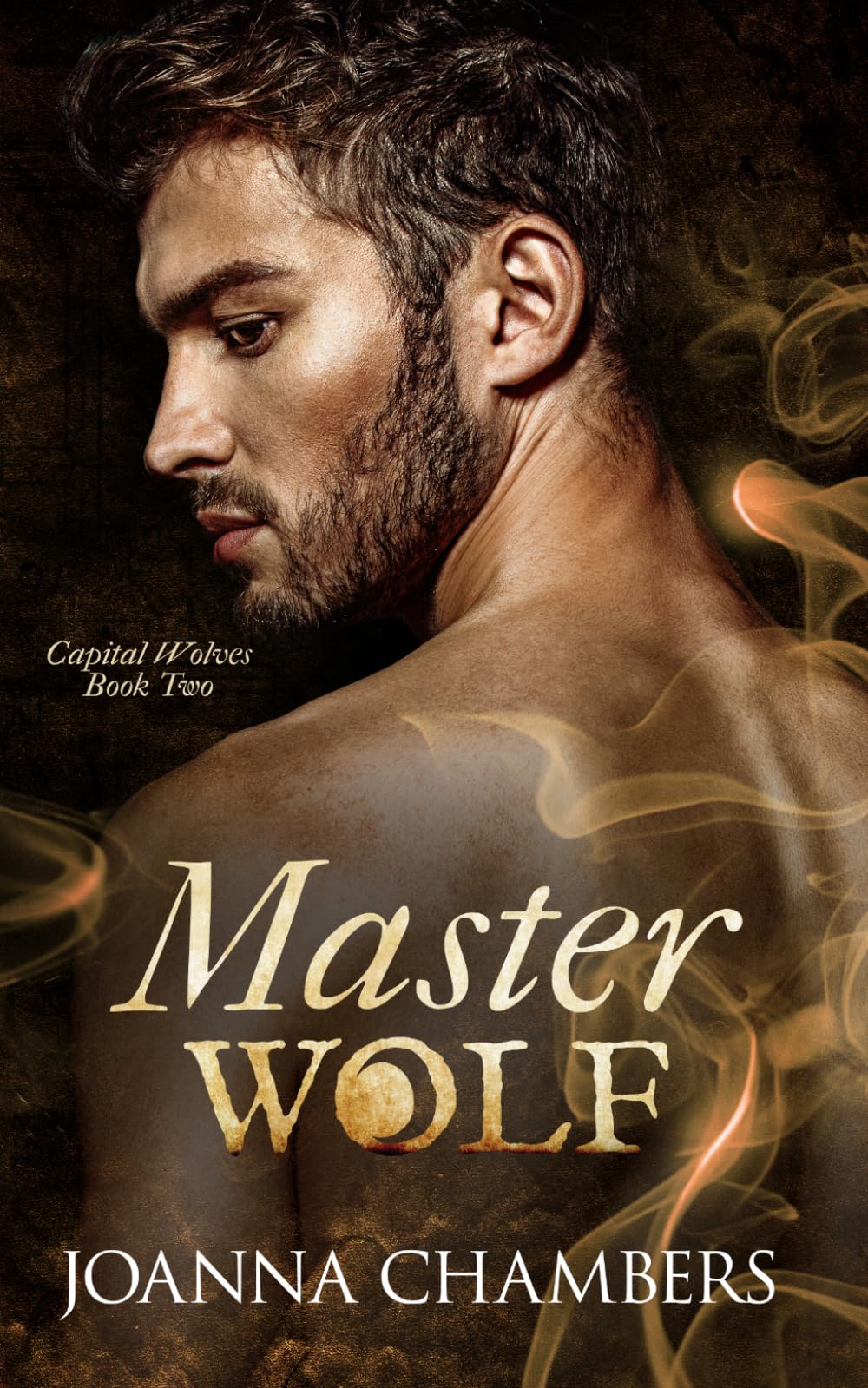 Master Wolf: a Rejected Mate romance