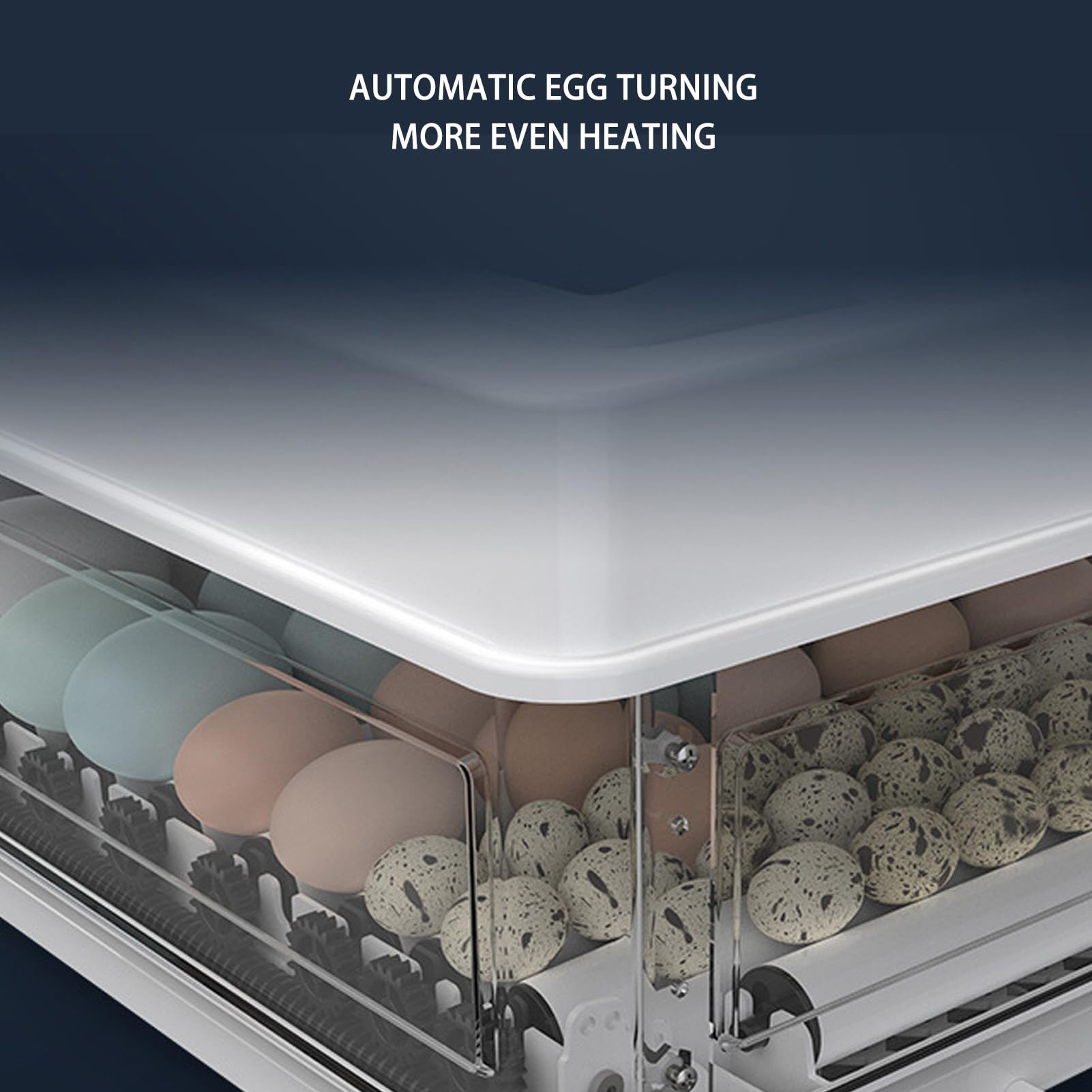 Fdit Candela LED per Incubatrice Automatica per Uova, Kit di Schiusa a Doppia Alimentazione (Spina europea 220 V 64 uova)
