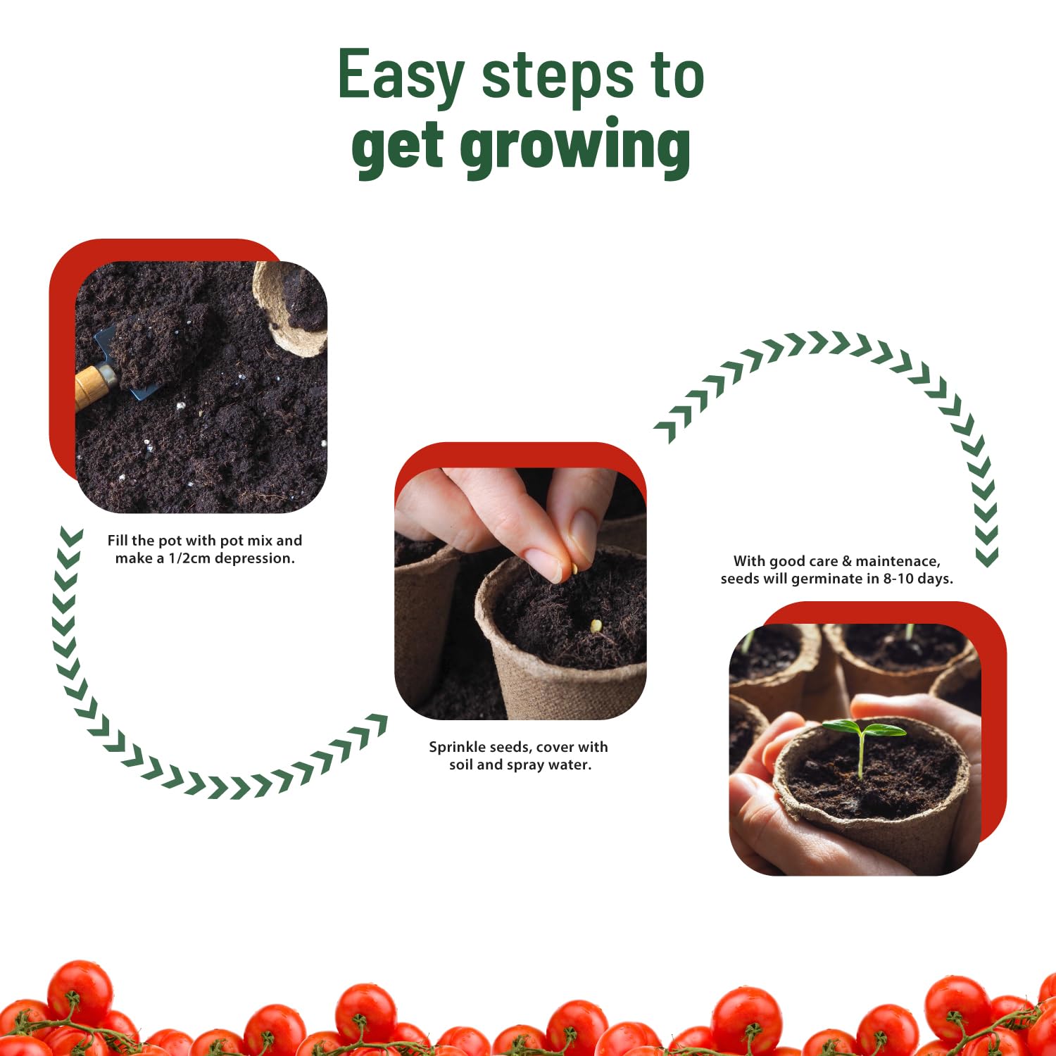 Pot and Bloom Cherry Tomato Grow Kit with Garden Essentials for Home 2