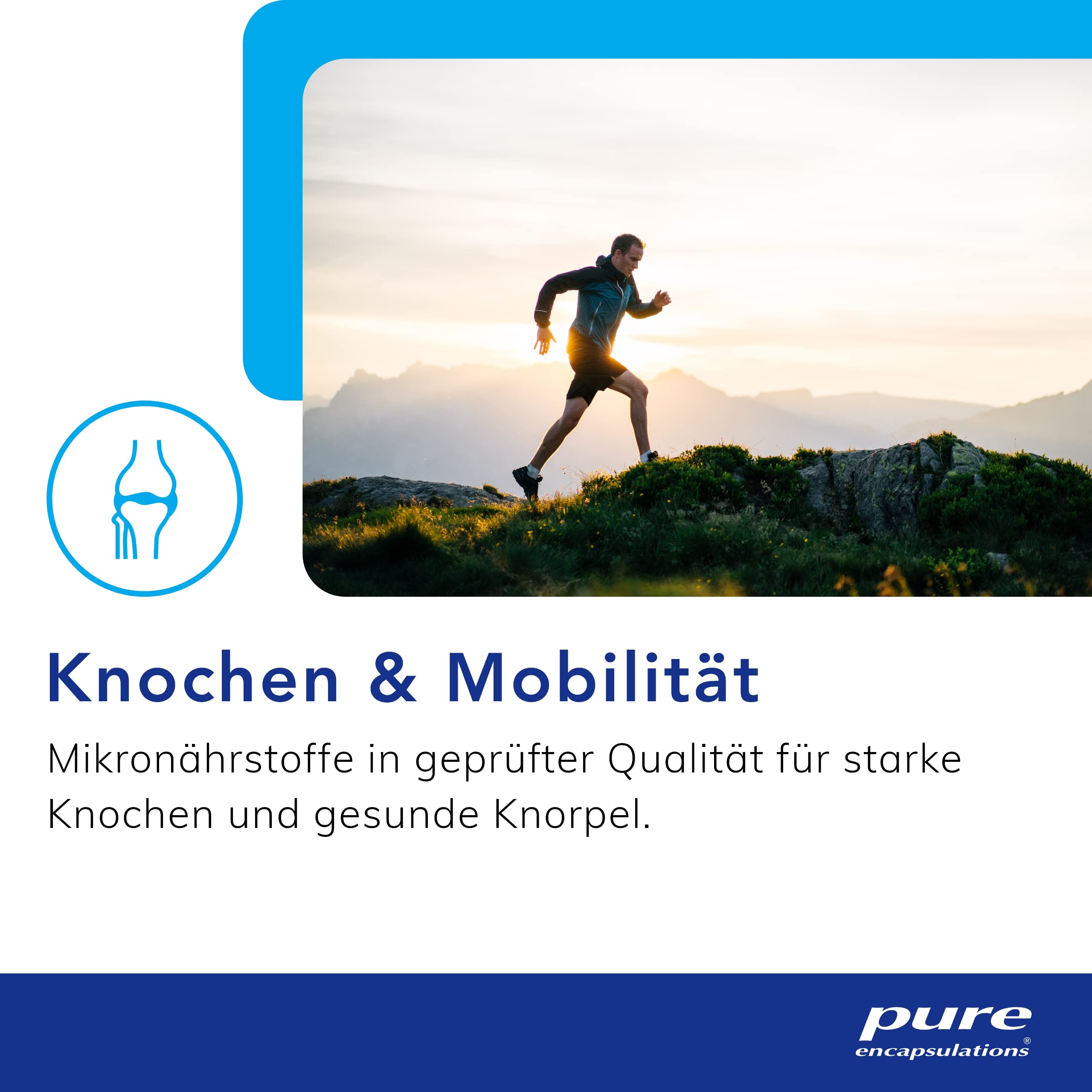 Pure Encapsulations - Glucosamin Chondroitin + MSM - Hochdosiert mit organischem Schwefel - 120 Kapseln