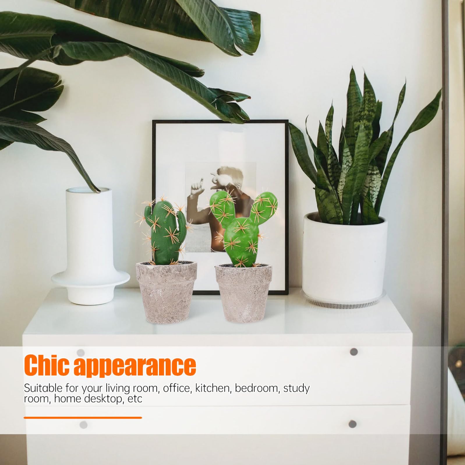 Set 4 Piante Succulente Finte in Plastica e Polpa per Decorazioni Casa, Facile Cura, Atmosfera Naturale e Rilassante, per Ufficio e Studio