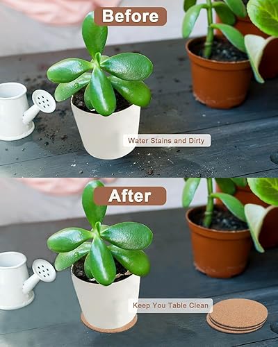 Miniatura 4 de Posavasos y platillos de corcho de 6 pulgadas, tapetes redondos absorbentes para macetas de interior, macetas, plantas de interior, protector de