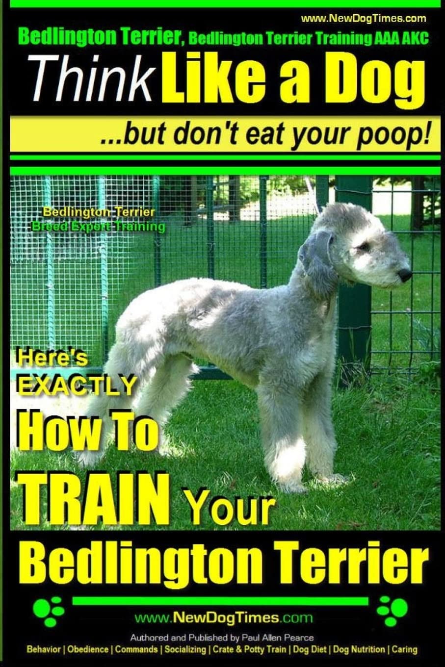 Bedlington Terrier, Bedlington Terrier Training AAA AKC: |Think Like a Dog ~ But Don’t Eat Your Poop! | Bedlington Terrier Breed Expert Training |: