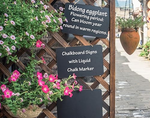 Miniatura 6 de NANXJIUR Paquete de 2 etiquetas colgantes para pizarra, mini letreros de pizarra con cuerda, letreros de madera de 8 x 12 pulgadas, mini pizarras