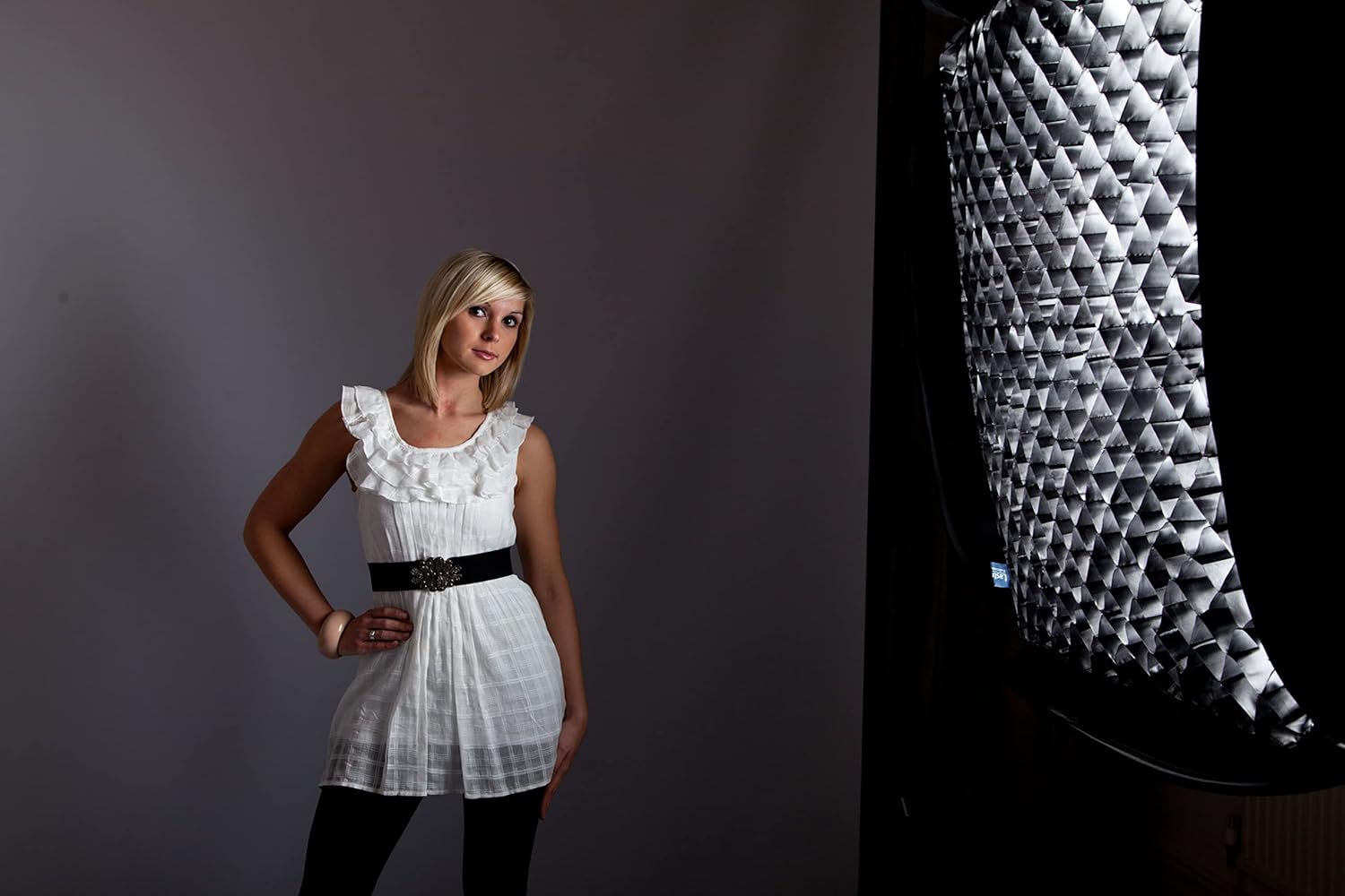 Lastolite llls2953 – Filter for Ezybox II Octa M (80 cm)