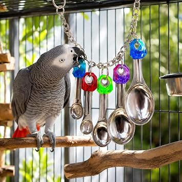 Bonka Bird Toys 1969 Spoon Delight Parakeets Cockatiel Conure Interactive Hanging Stainless Steel Spoons Chewing Foraging Enrichment Cage Medium Large Parrots 12.5 Chew Colorful Parts