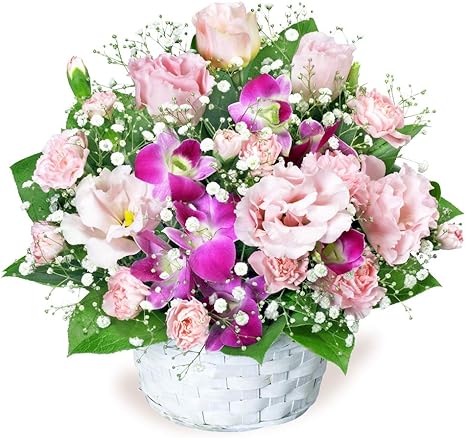 Amazon 出産祝い トルコキキョウとデンファレのアレンジメント Ye00 花キューピット 花 ギフト お祝い 記念日 ママ 赤ちゃん プレゼント 花束 オンライン通販