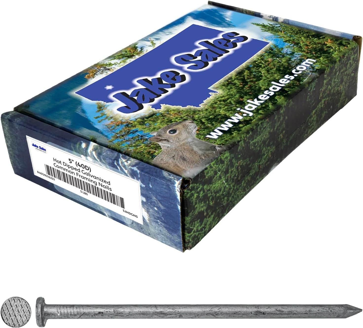 4" Exterior Hot Dipped Galvanized Common Framing Nail (20d) 5 Pound Box ~90 Nails