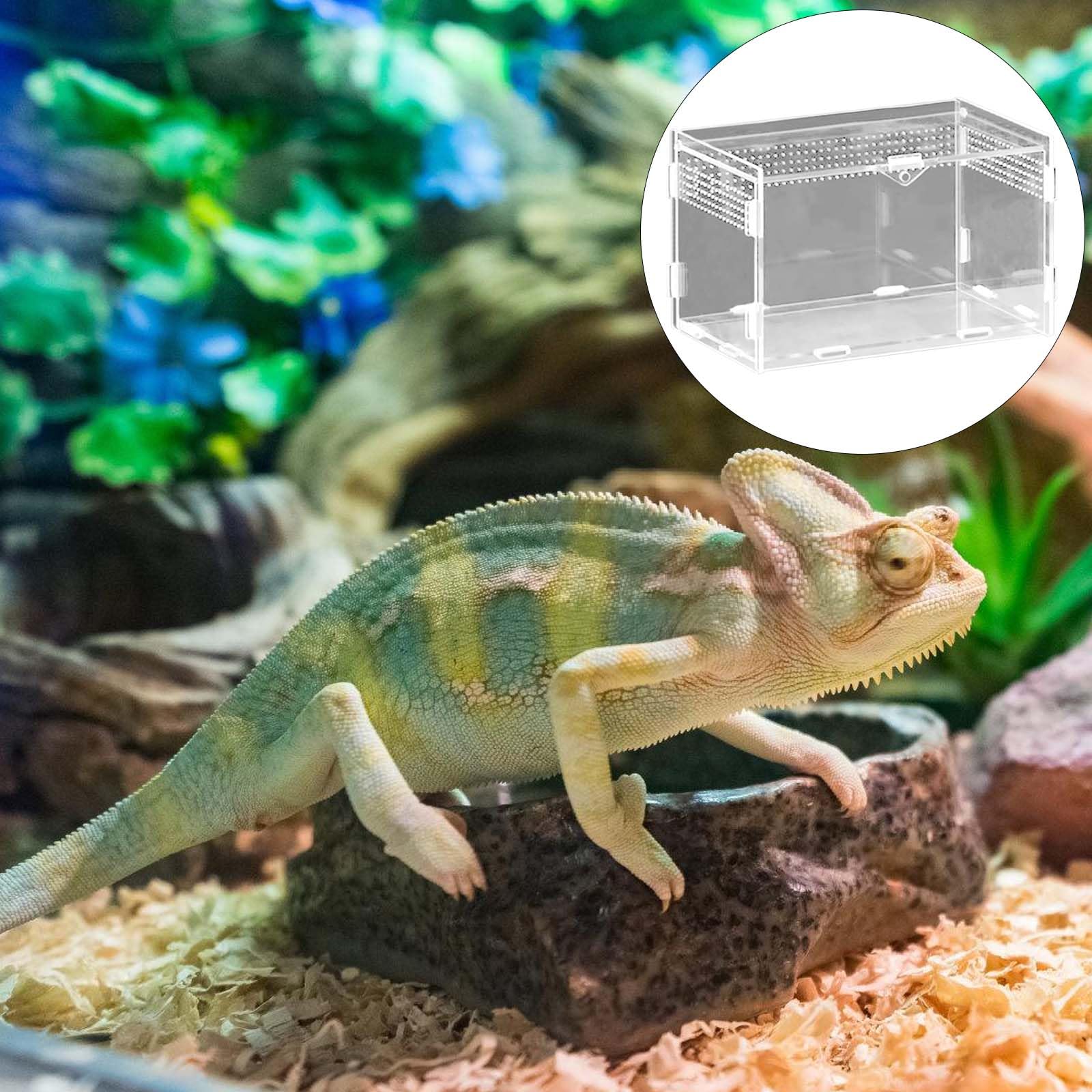 Boîte d'alimentation pour reptiles en acrylique - 20 x 12 x 12 cm - Mini terrarium transparent - Avec tweezer en acier inoxydable - Transparence totale à 360 ° - Pour petits reptiles et araignées