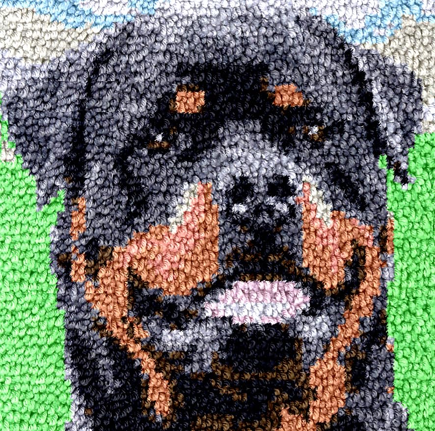 Image of Rottweiler Latch Hook Rug Kit for Adults DIY Carpet Chair Cushion with Printed Canvas Crochet Yarn Craft Hook and Latch Tapestry for Stools Decoration Pets Warm Pads 40x40cm