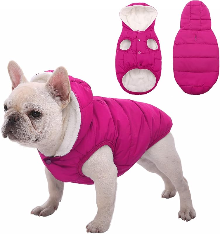 SAWMONG Abrigo impermeable de invierno para perros, campera cálida con forro polar para perros con capucha, abrigo resistente al viento para cachorros, chaleco para mascotas para actividades de invierno al aire libre e interior (rosa, M)