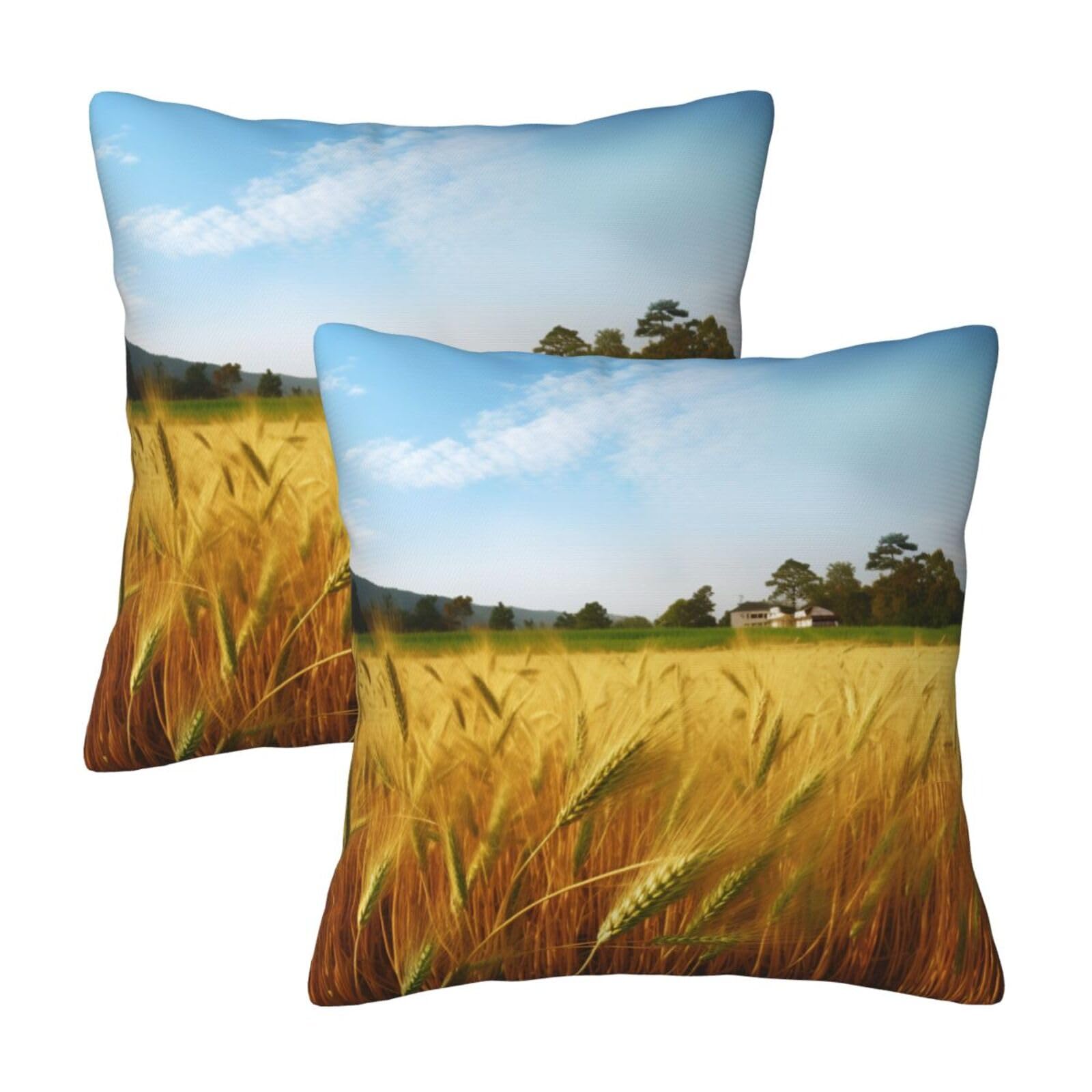 Paddy Rice Field Throw Pillow Cases 2 Pack Square Pillowcases Soft Pillow Protectors for Couch Livingroom Sofa Bed Office Car,50x50 CM