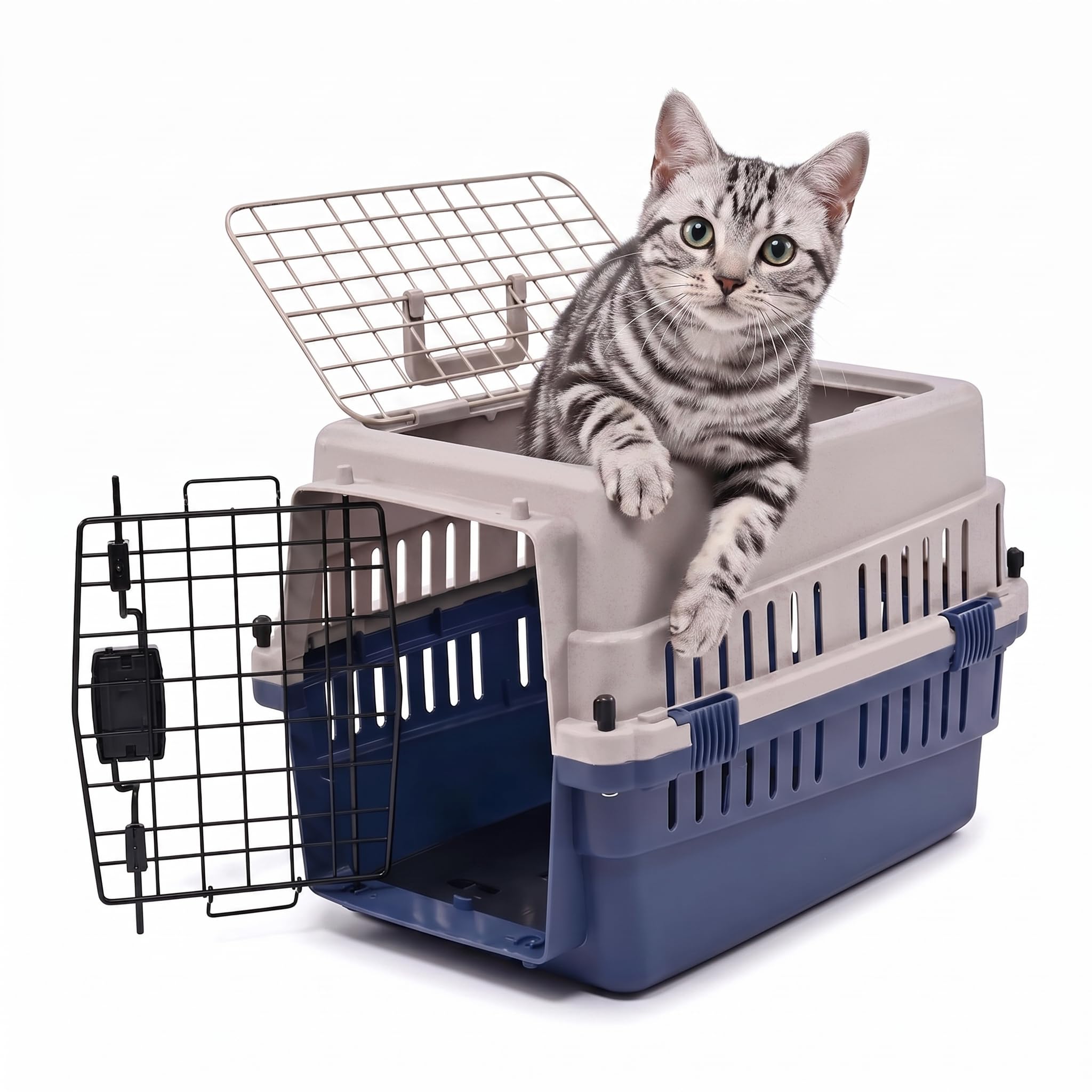 Hard-Sided Pet Carrier for Cats and Small Dogs, 20" Sturdy Travel Kennel with Secure Wire…