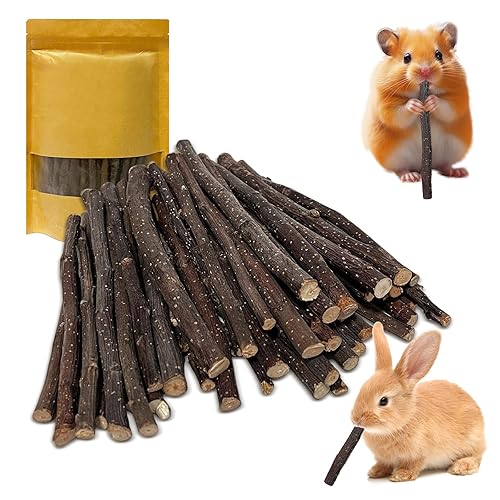 600g Apple Sticks Small Animals Wooden Pet Chew Treats Toys
