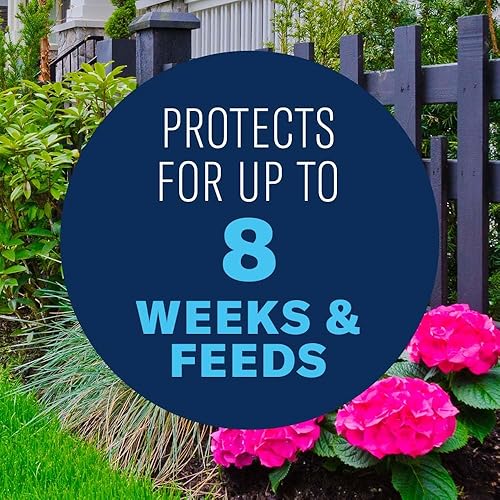 Miniatura 3 de BioAdvanced Cuidado sistémico de rosas y flores 2 en 1, gránulos, 5 libras