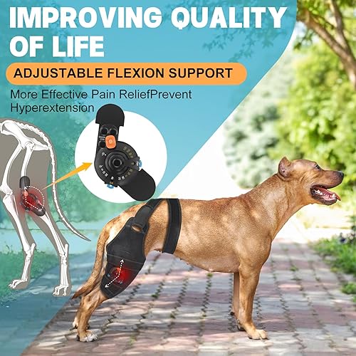 Miniatura 3 de Rodillera para perro para ajuste de pierna trasera, férula de metal extra grande, soporte flexible con bisagras de soporte flexible para perro ACL