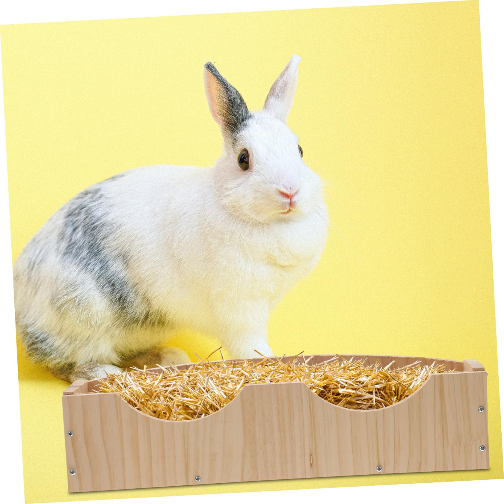 Gatuida Hängende Holz Futterraufe mit Rille und Fixator für Kaninchen und Meerschweinchen Großer Futterbehälter Einfach zu Befestigen und Sauber zu Halten