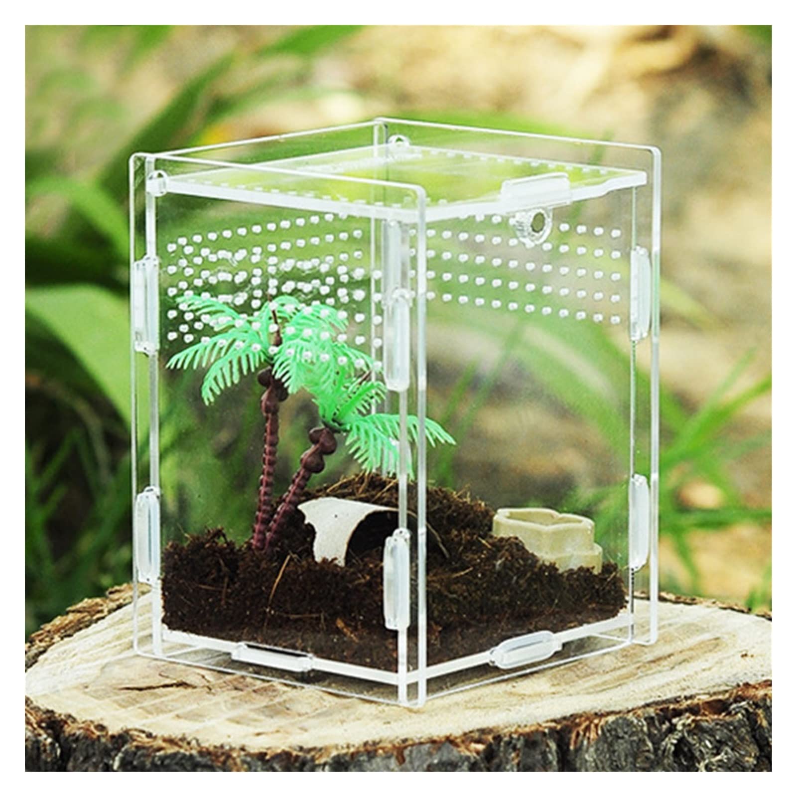 Reptilien-Terrarium, 360 Grad transparente Acryl-Reptilien-Terrarium-Futterbox for Reptilien