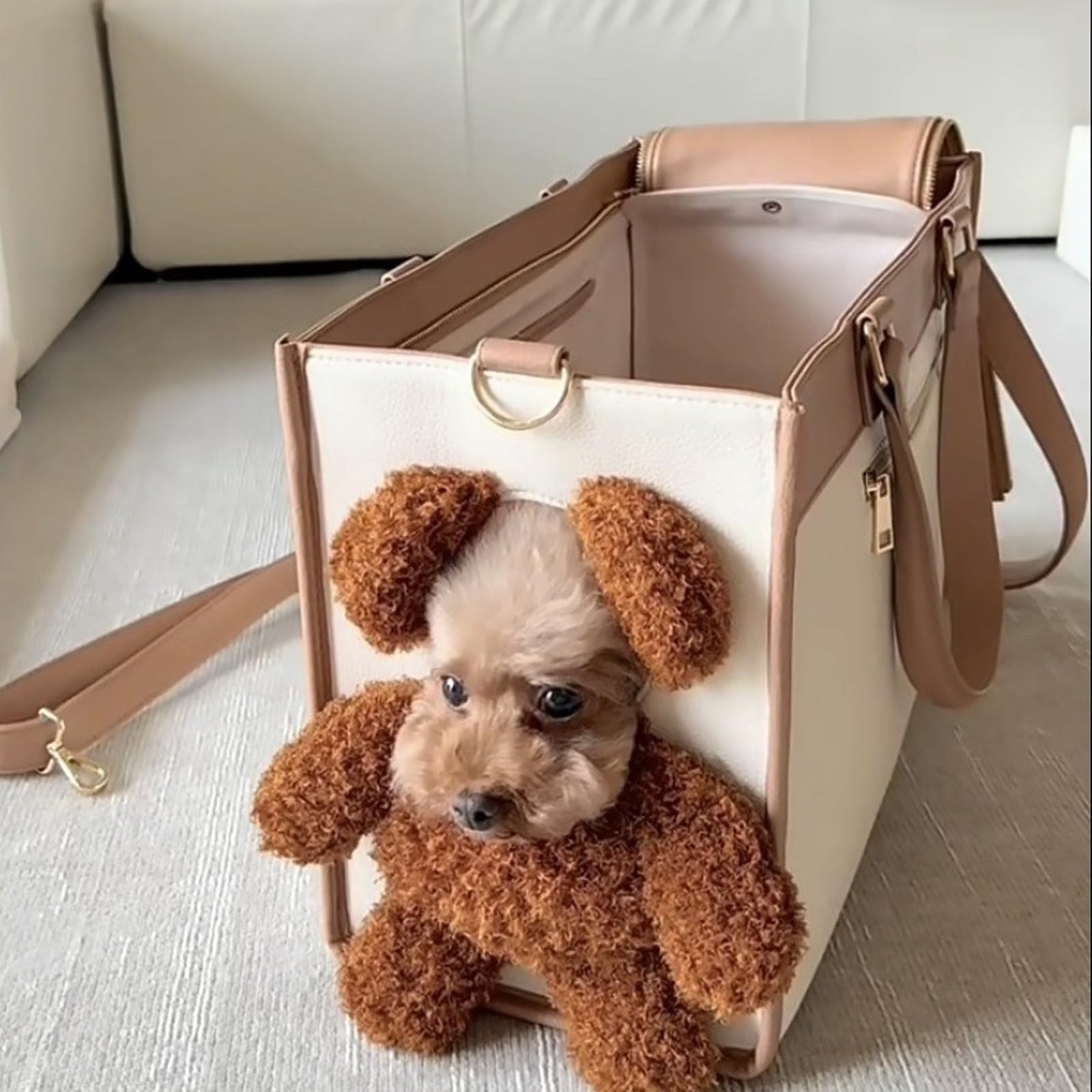 Hundetragetasche, Teddybär-Hundetragetasche für kleine Hunde und Katzen, 2-in-1 multifunktionale Haustier-Tragetasche mit Plüsch und pelzigen Ohren, tragbare praktische Reisetasche für Spaziergänge