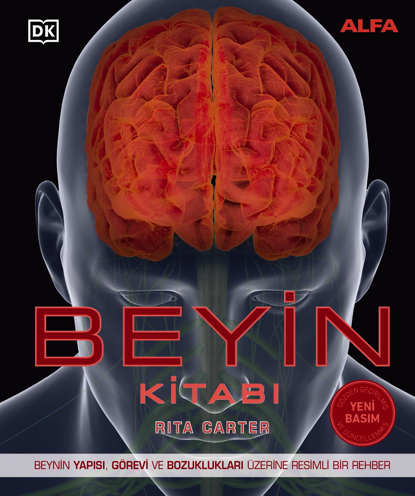Beyin Kitabı (Ciltli) (Turkish Edition)